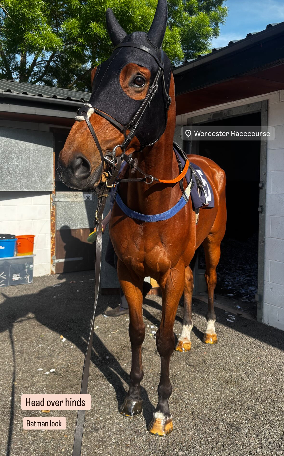 Monday 12th May 2025